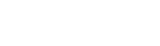 Borg Automotive Group logo
