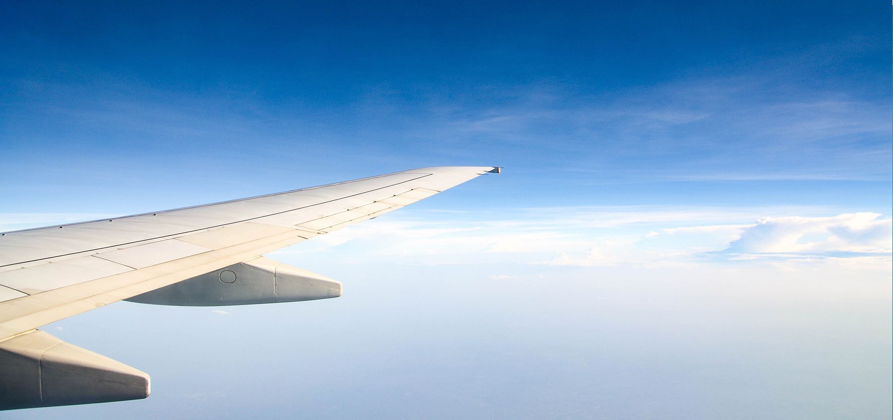 wing_in_flight